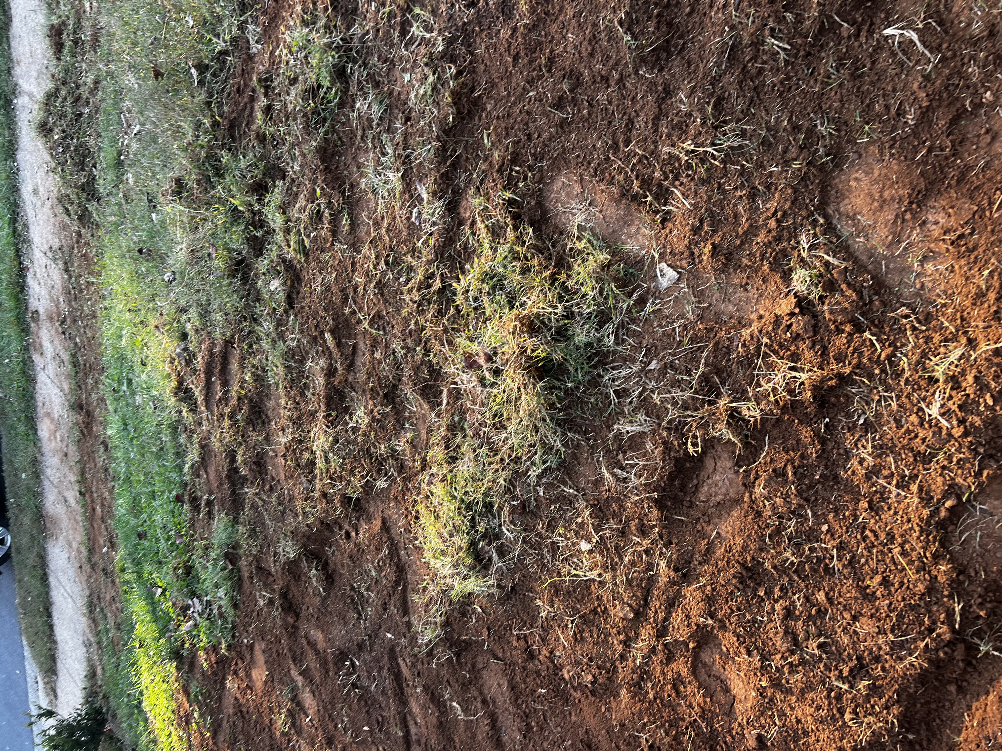 Before - Transformation