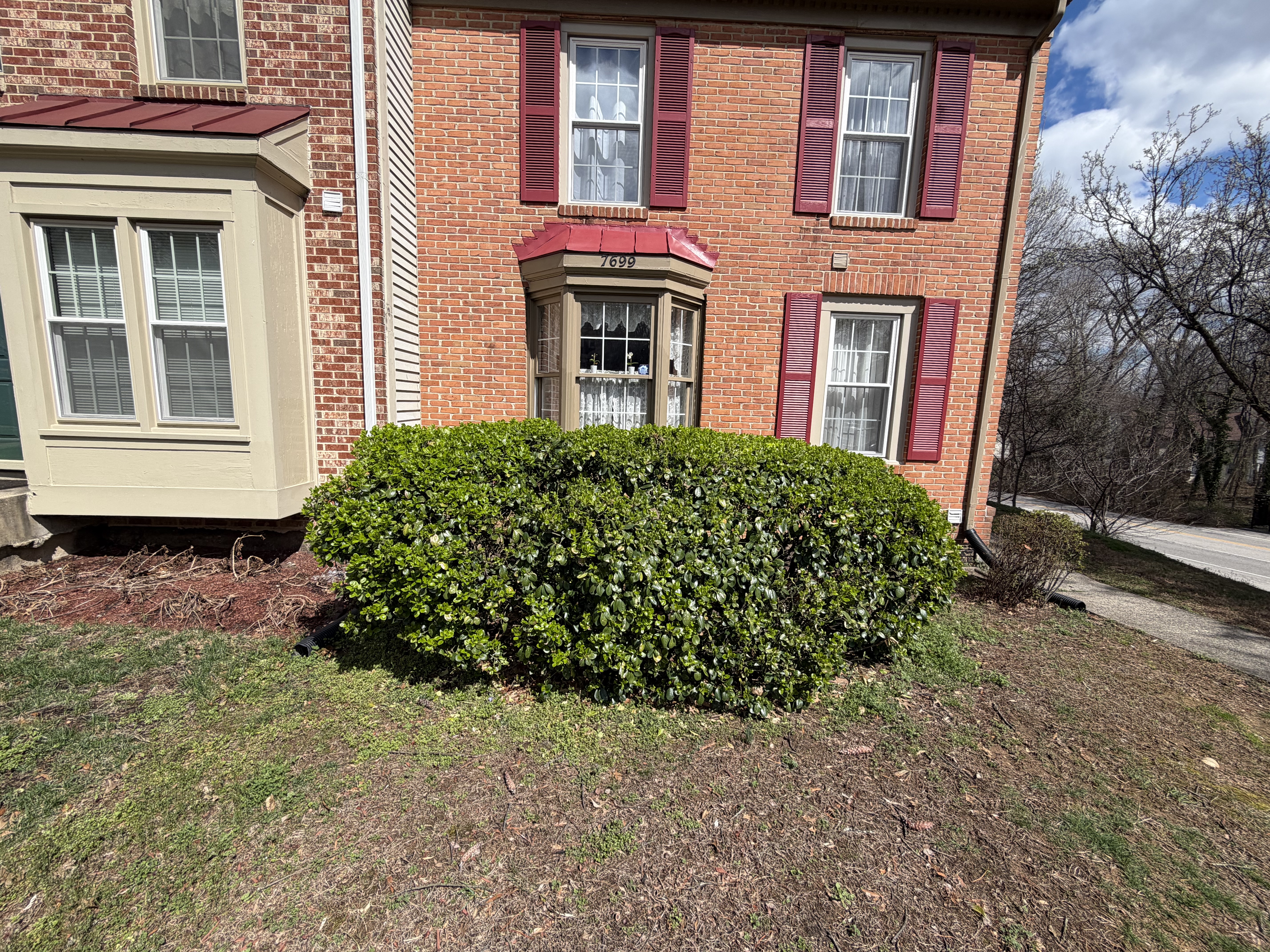 Before - Transformation