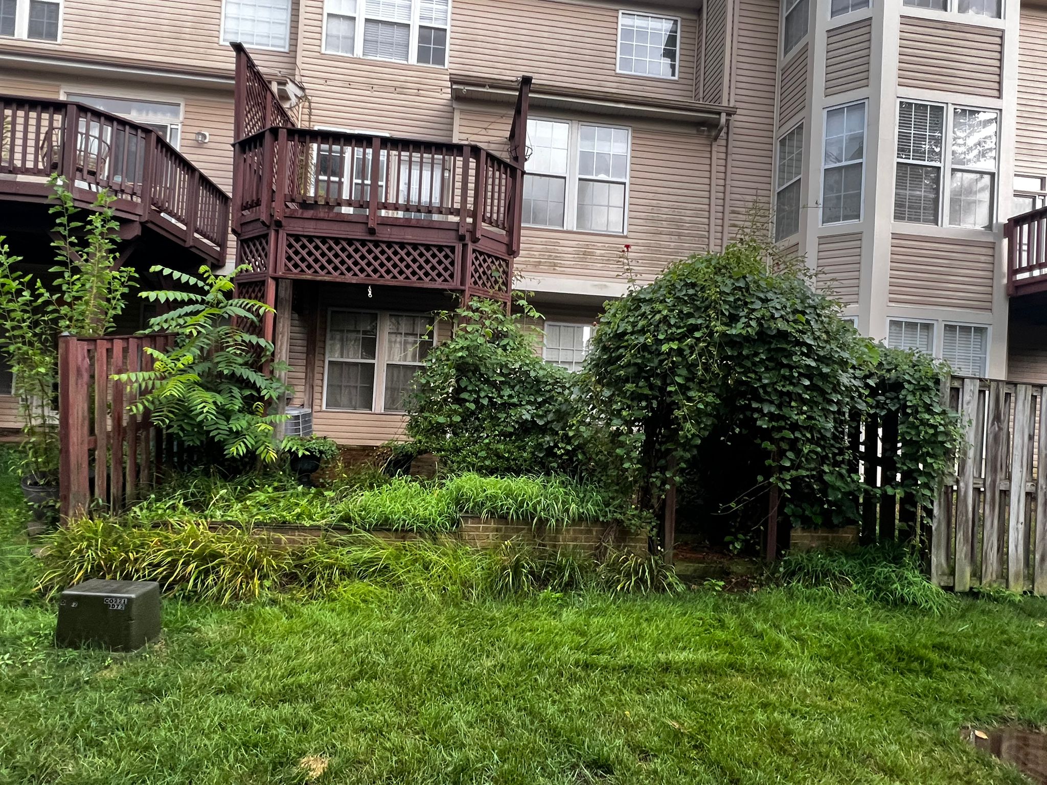 Before - Transformation