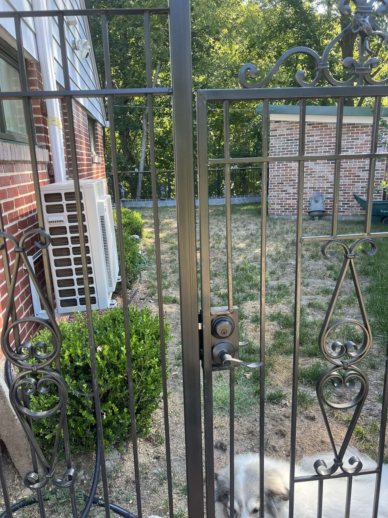 Before - Transformation