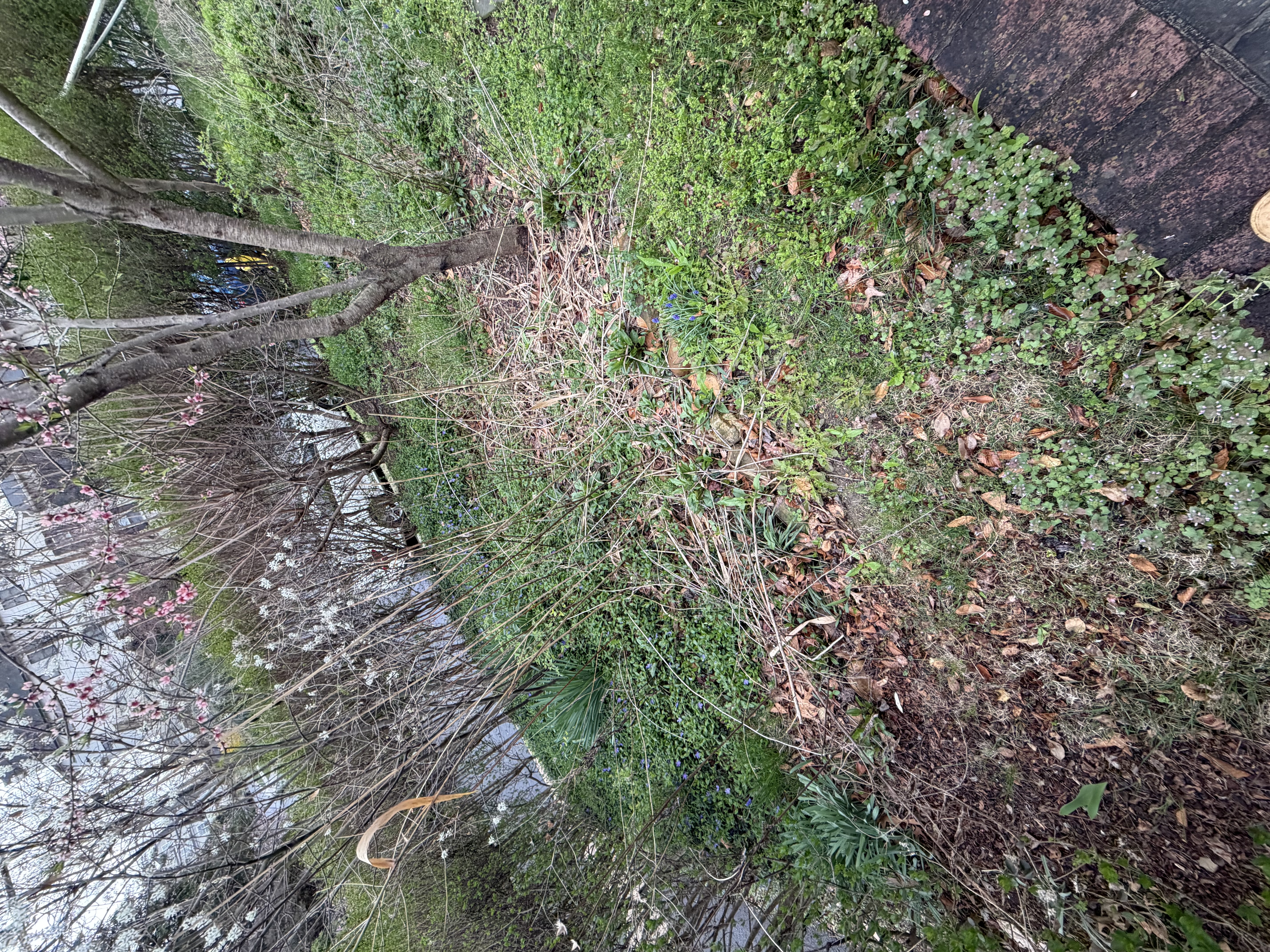 Before - Clean up