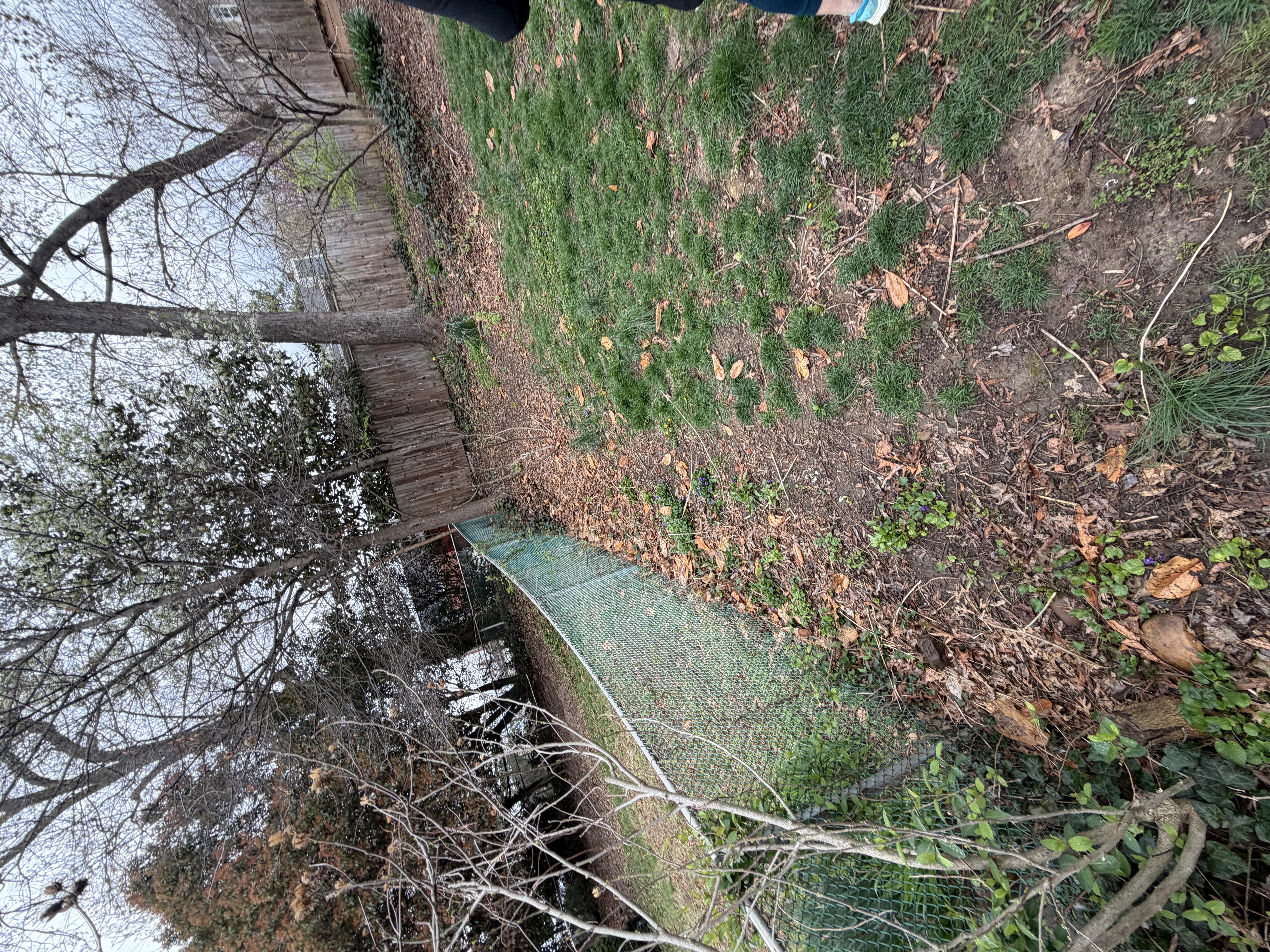 Before - Mulch