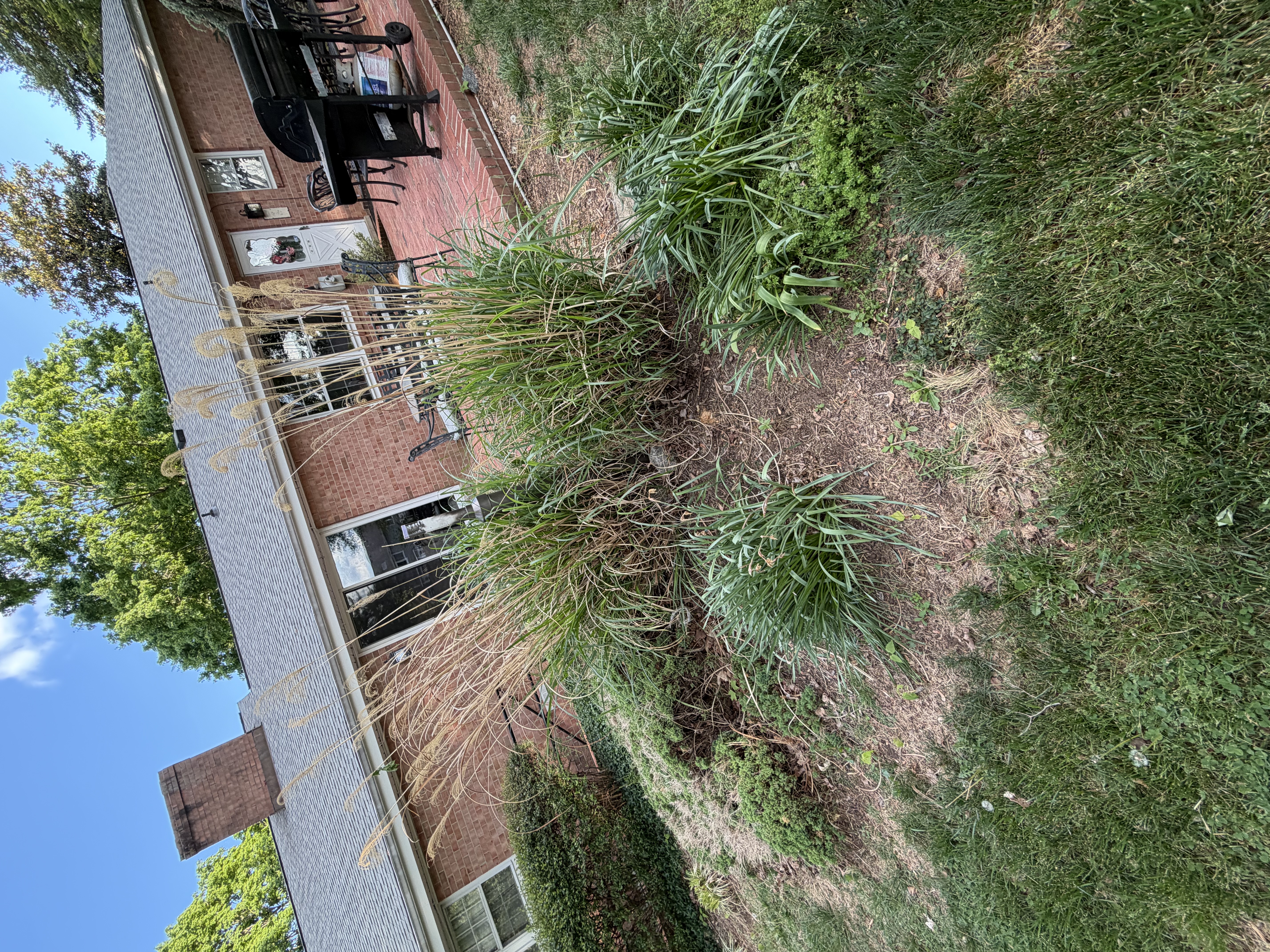 Before - Transformation