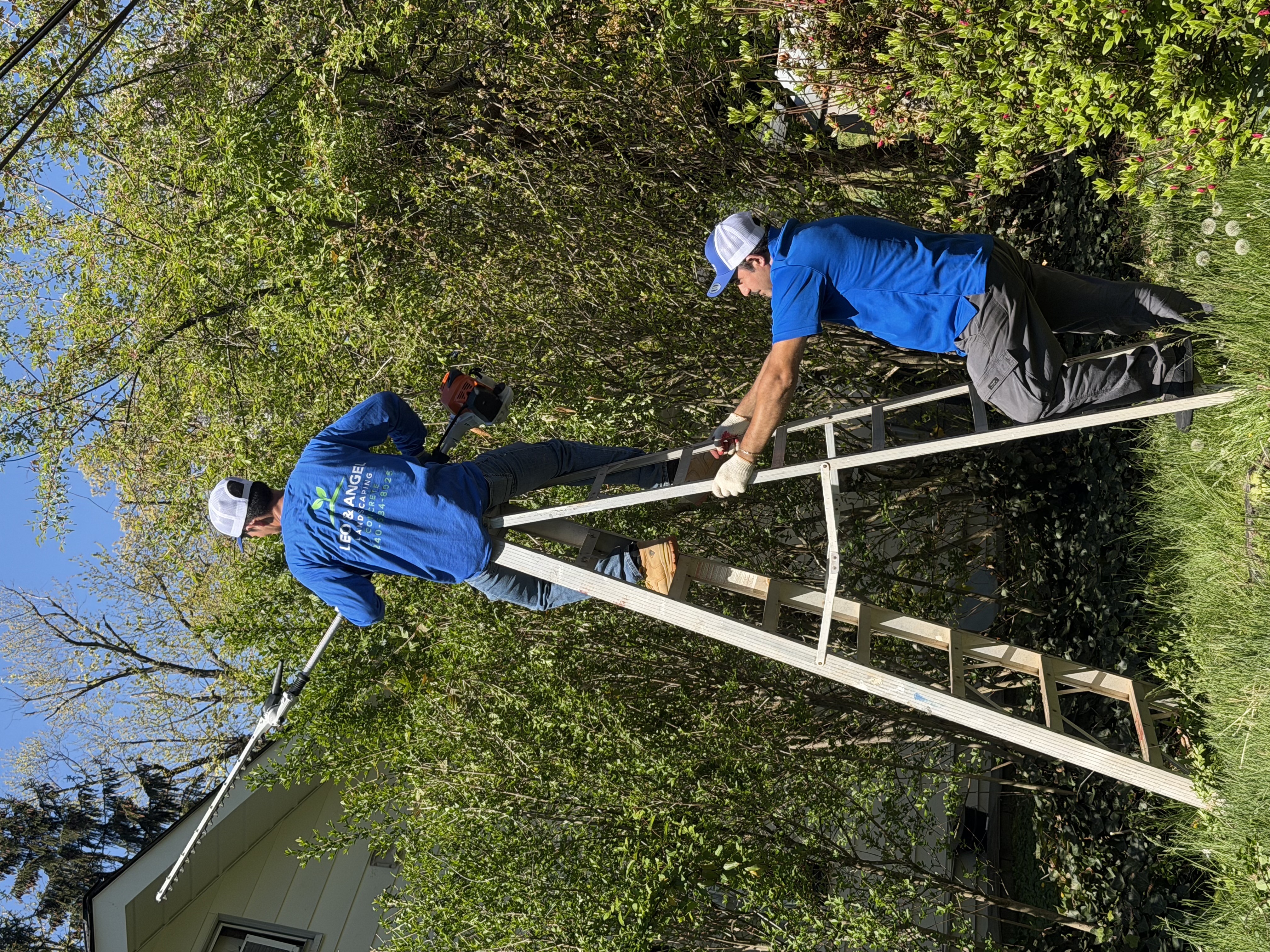 Trimming