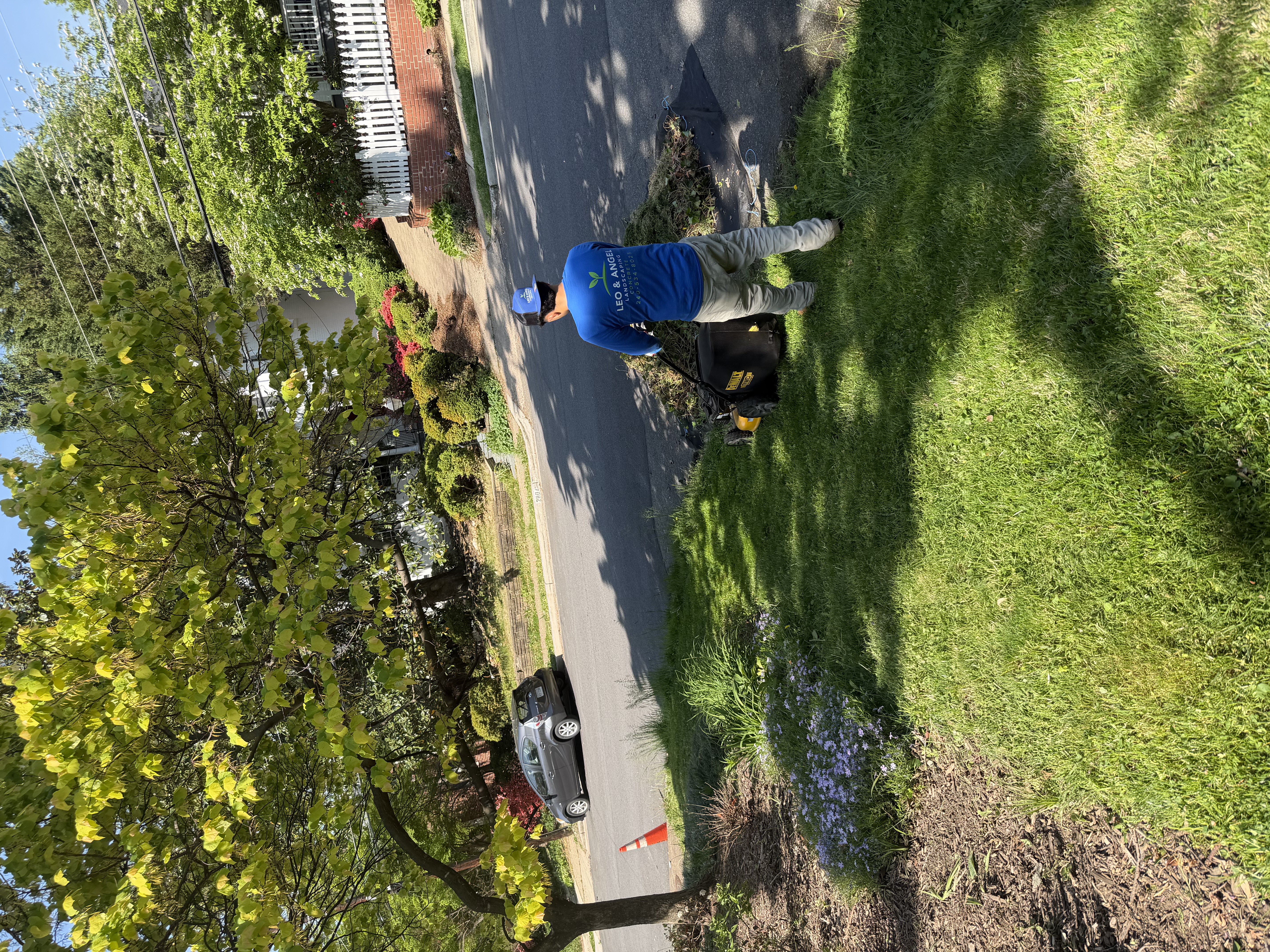 Mowing