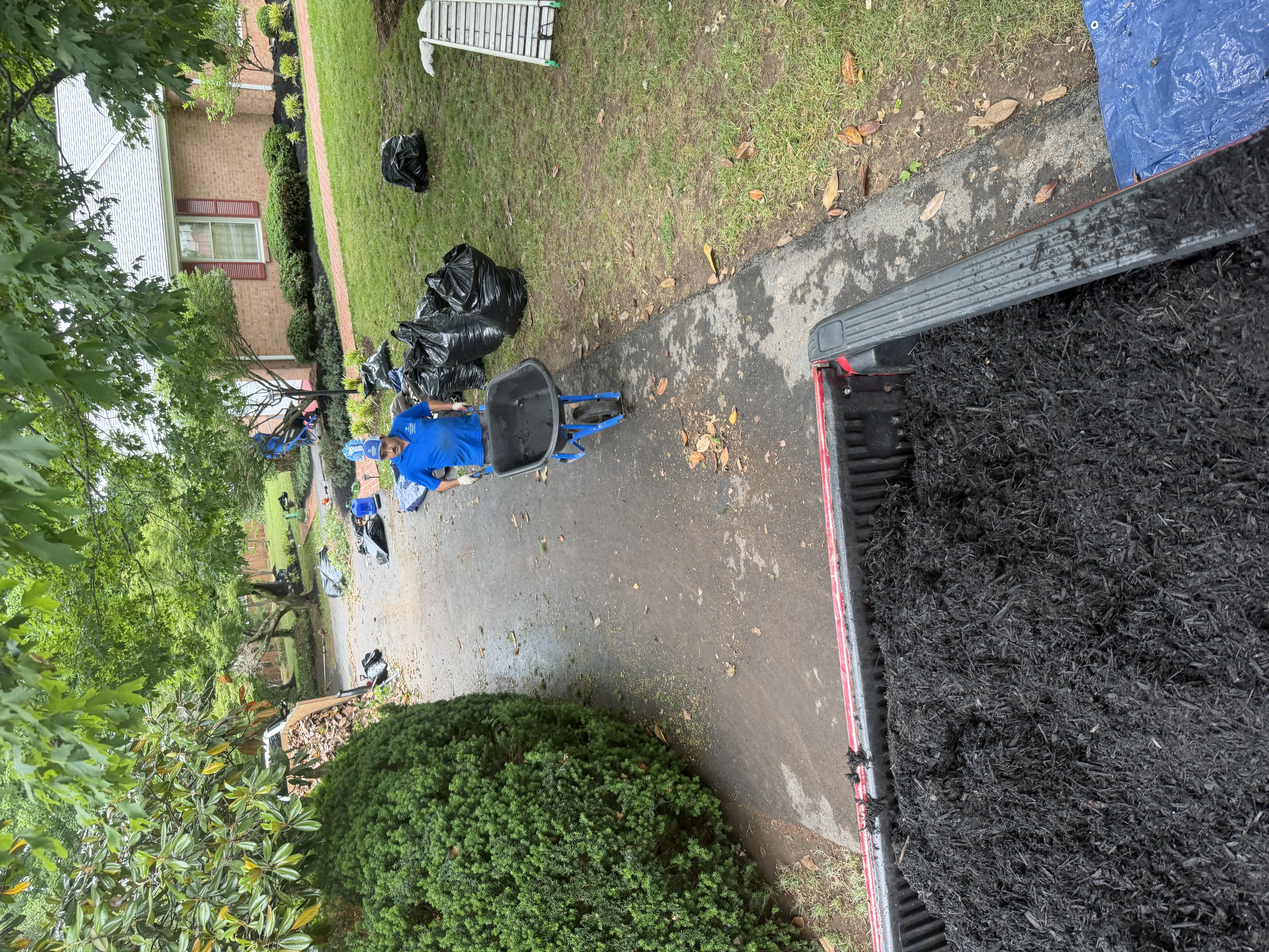 Mulch