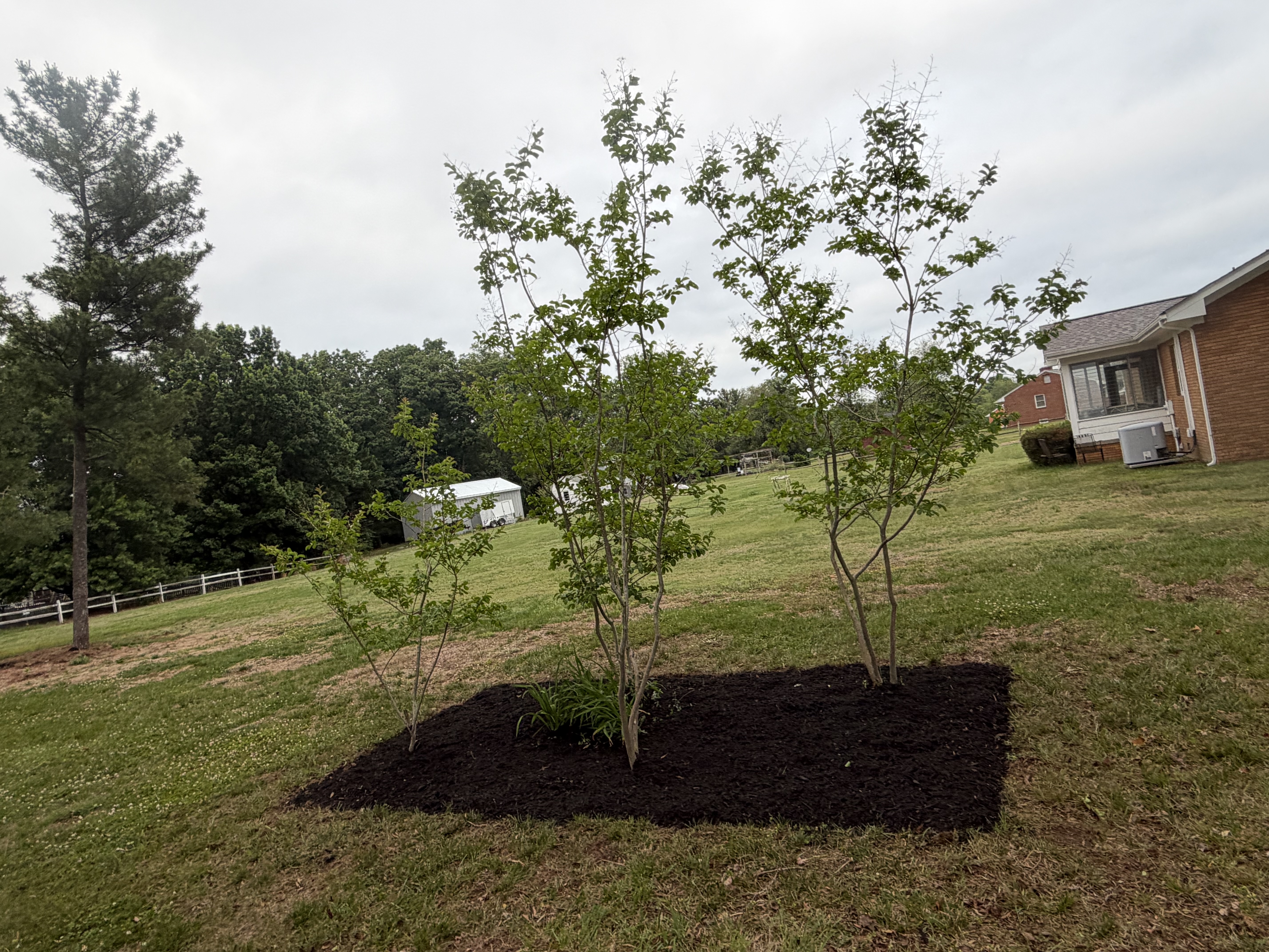 Mulch