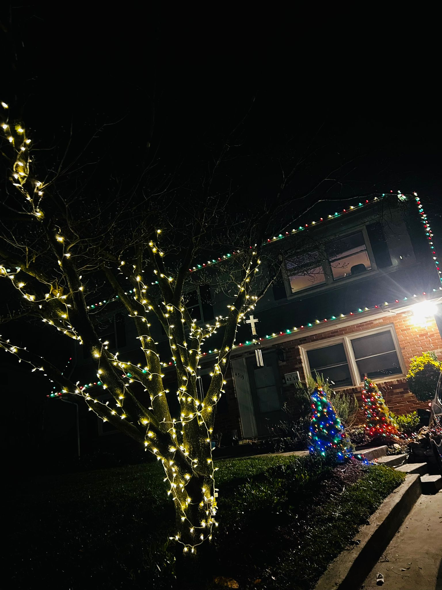 Christmas Lights Service